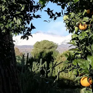 Etna Mare Jonio Appartamento