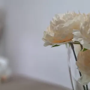 Giulia Appartamento
